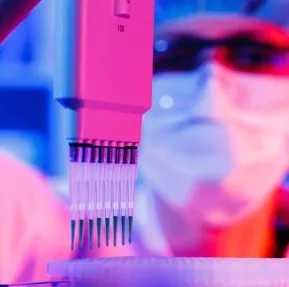 Technician filling sample tubes with a multichannel pipette